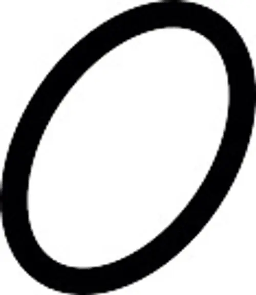 Schwarzer O-Ring mit rundem Querschnitt, geeignet für Abdichtungen. Produkt von Hansgrohe.